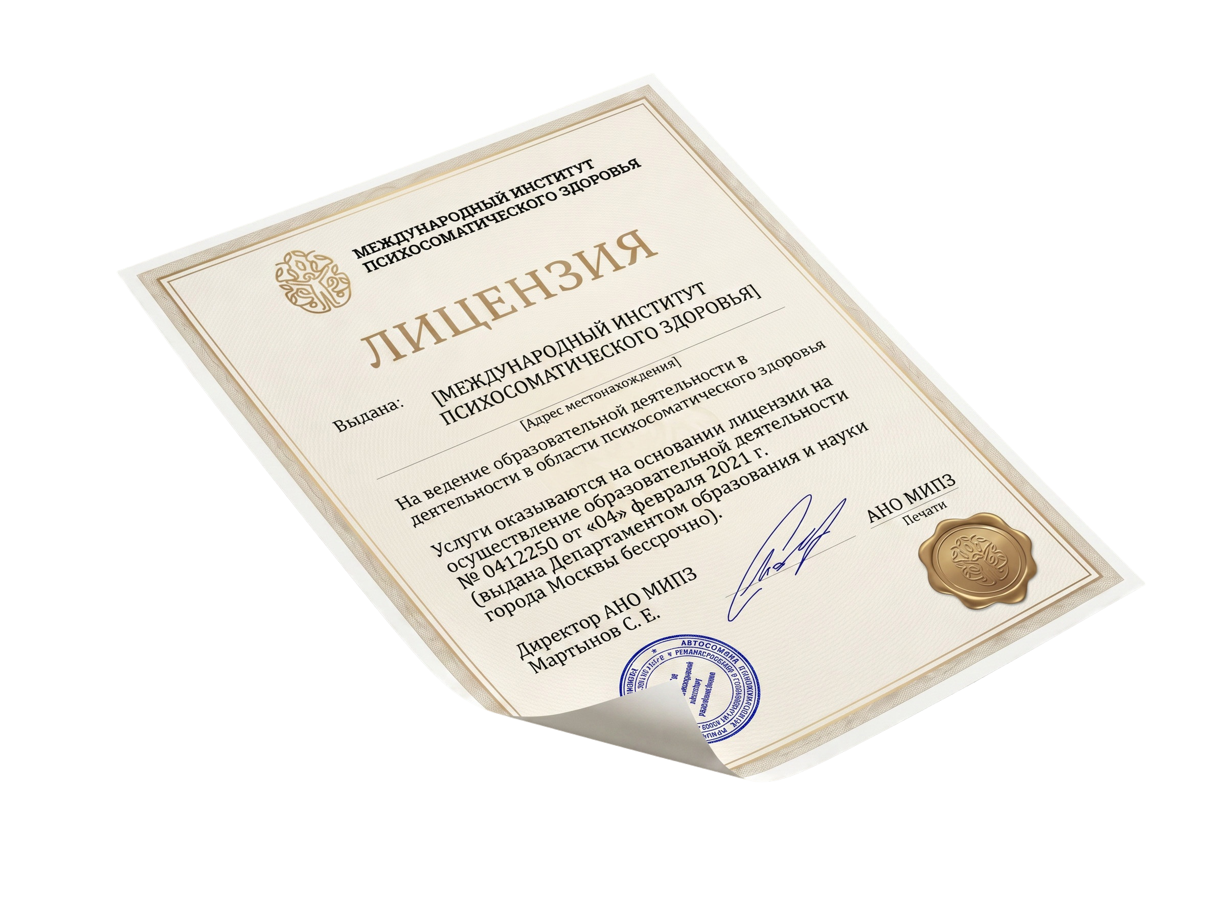 Лицензия МИПЗ