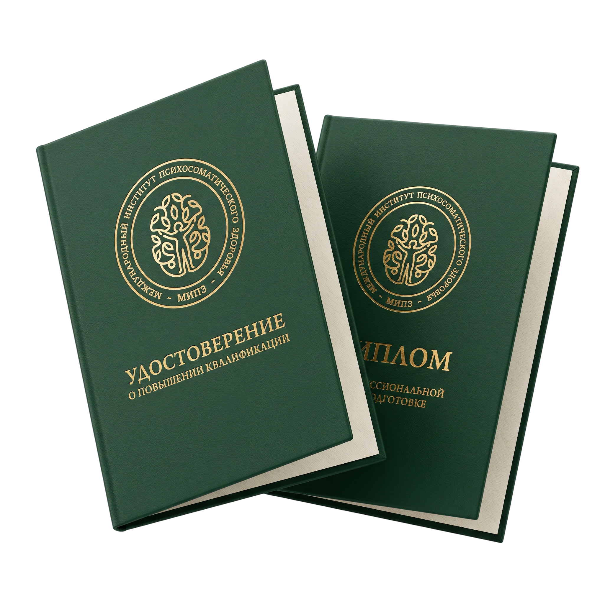 Удостоверение и диплом